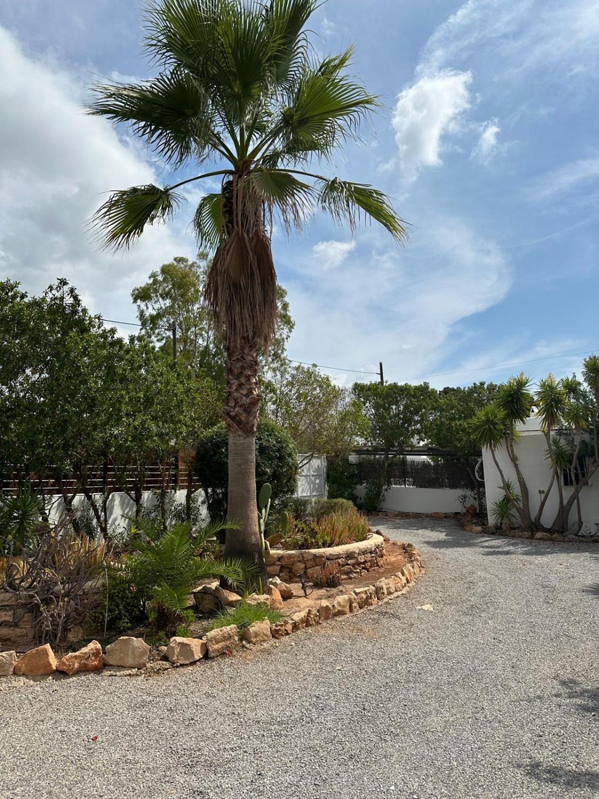 Micasa Ibiza Villa San Antonio  Ngoại thất bức ảnh