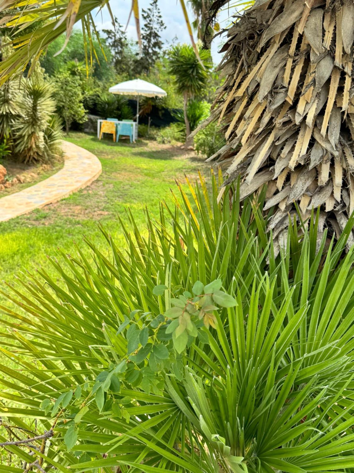 Micasa Ibiza Villa San Antonio  Ngoại thất bức ảnh
