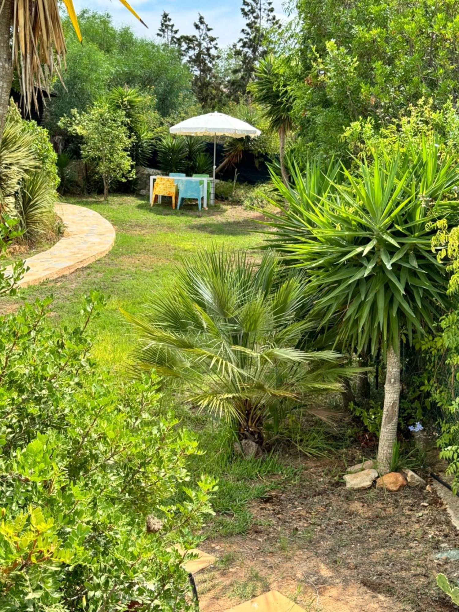 Micasa Ibiza Villa San Antonio  Ngoại thất bức ảnh