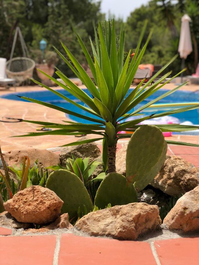 Micasa Ibiza Villa San Antonio  Ngoại thất bức ảnh